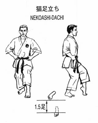 Nekoashi dachi